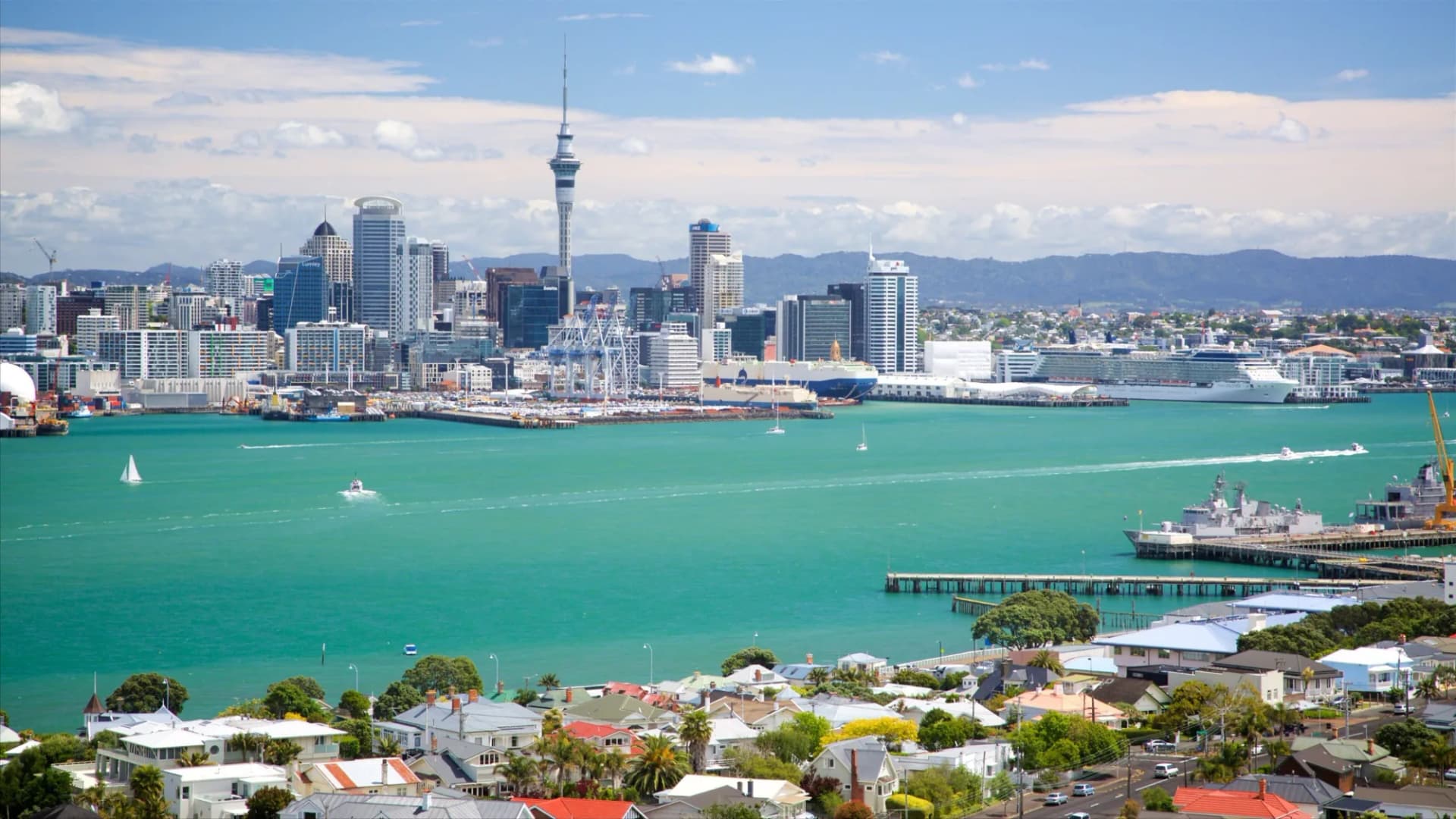 Auckland Business Directory