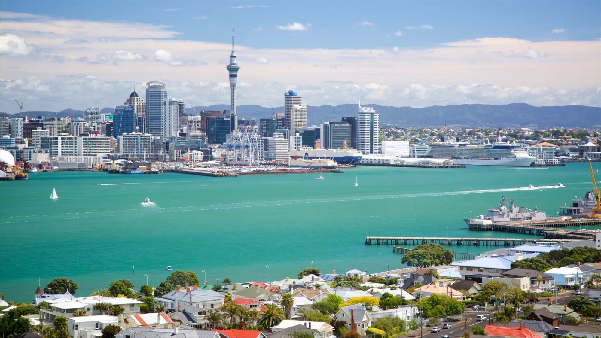Auckland Business Directory