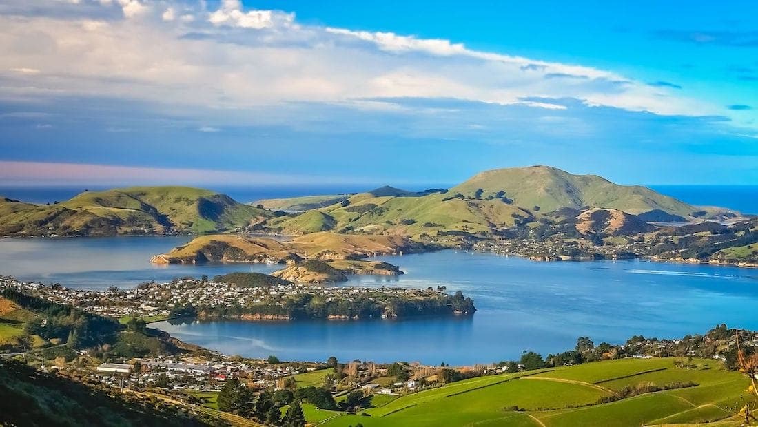Dunedin Business Directory