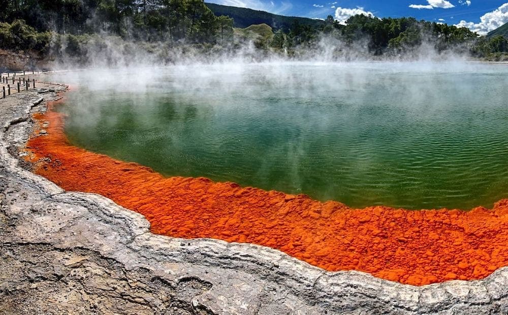 Rotorua Business Directory