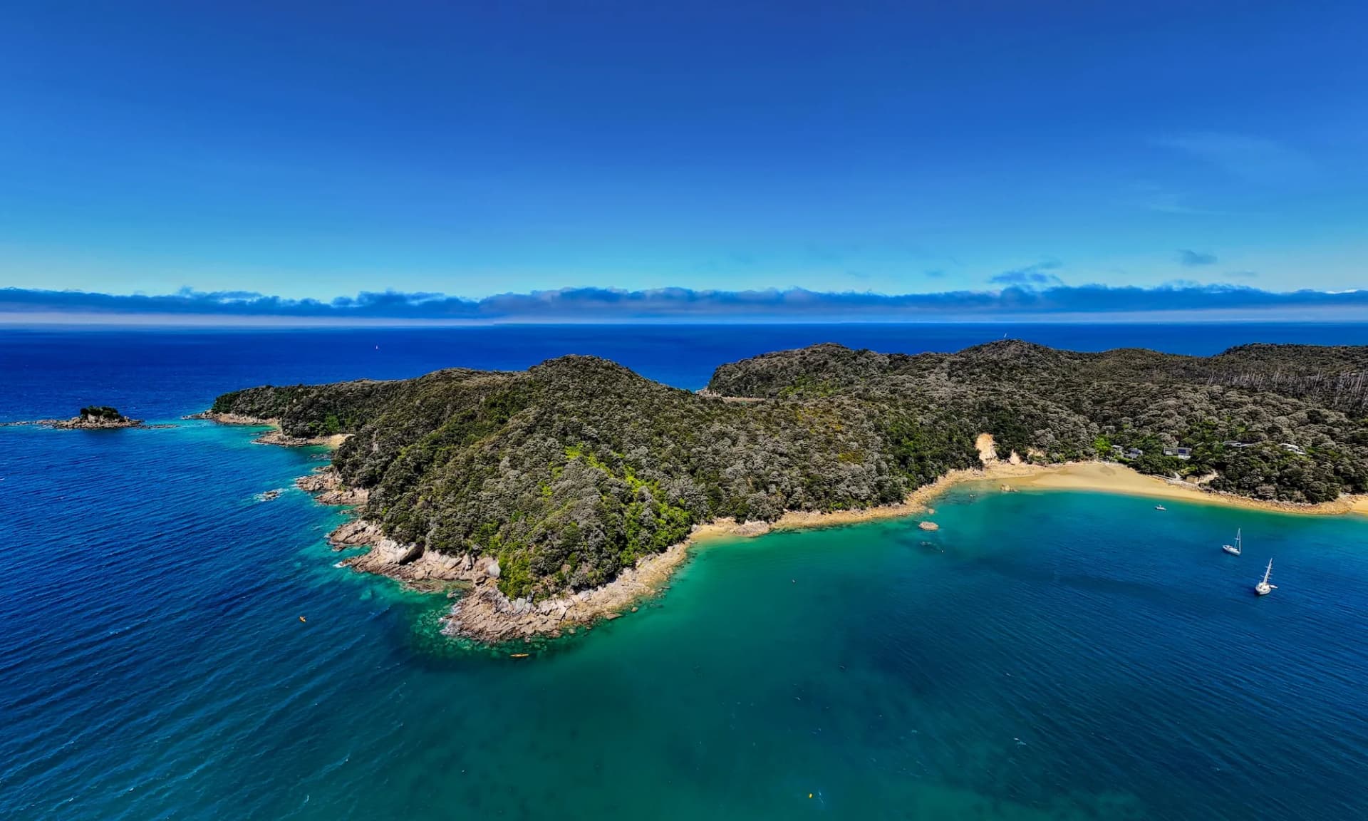 Tasman Business Directory