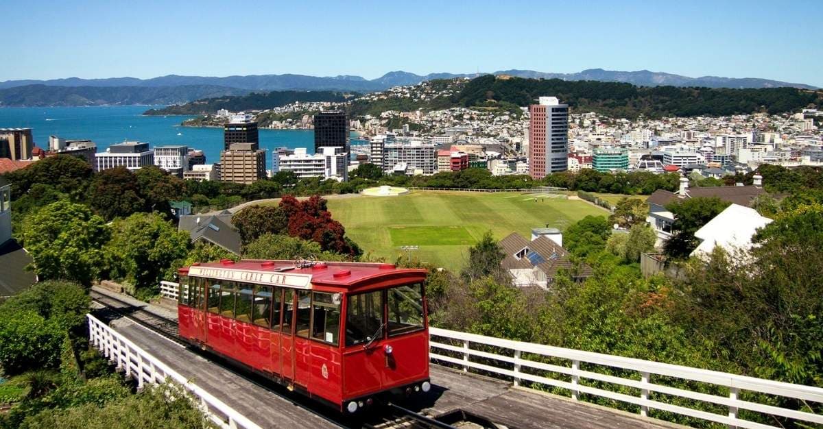 Wellington Business Directory