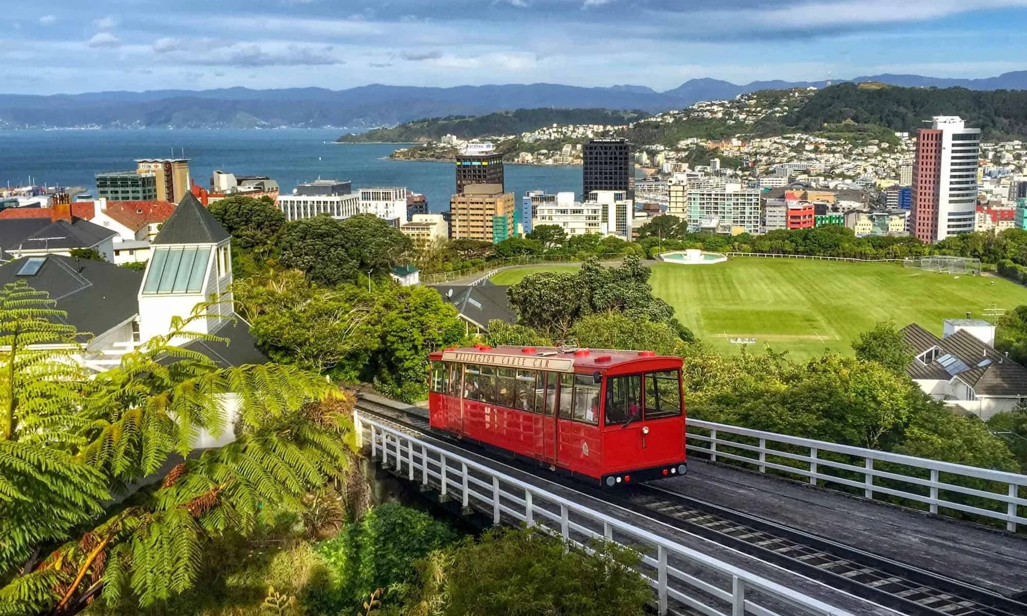 Wellington Business Directory