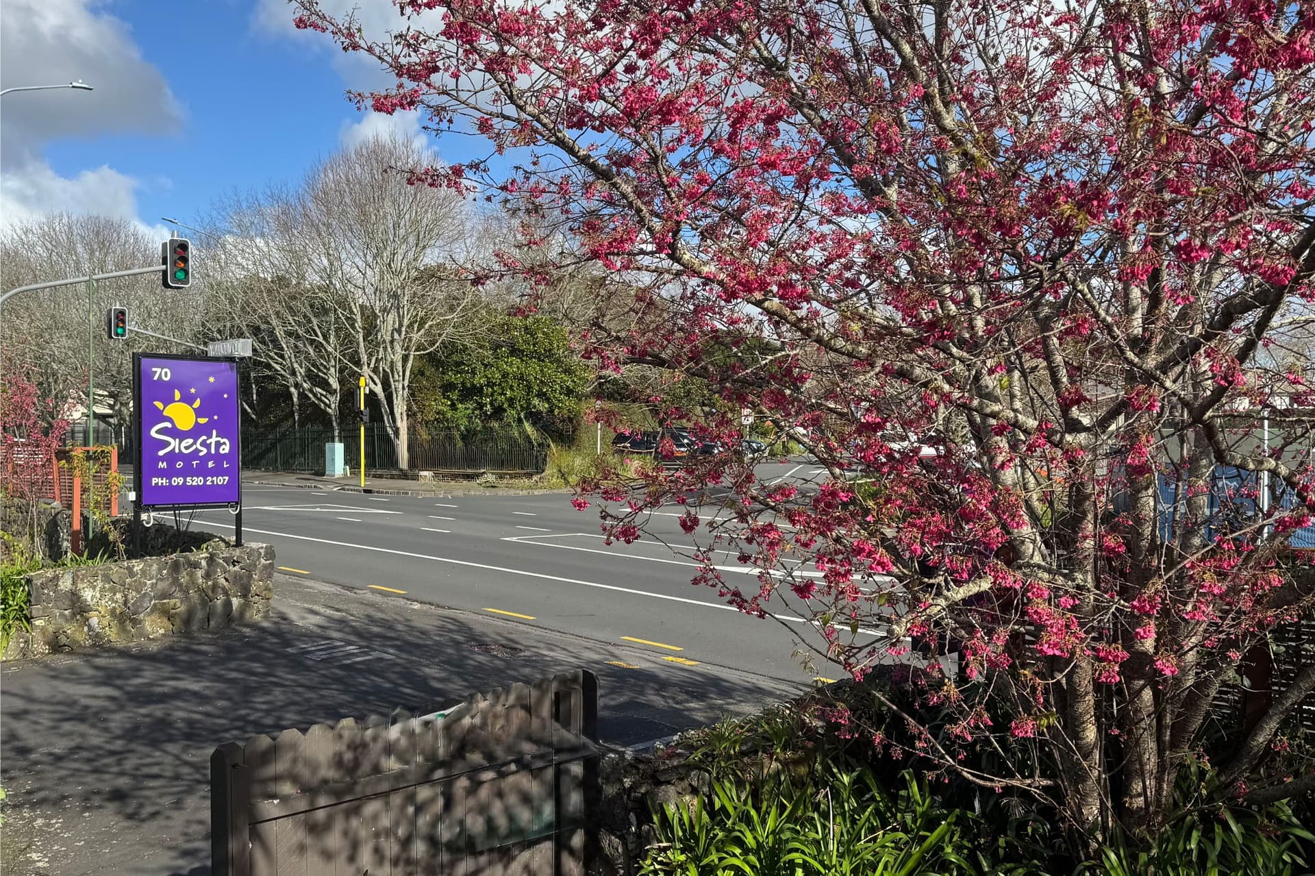 Siesta Motel — Accommodation in Albert-Eden