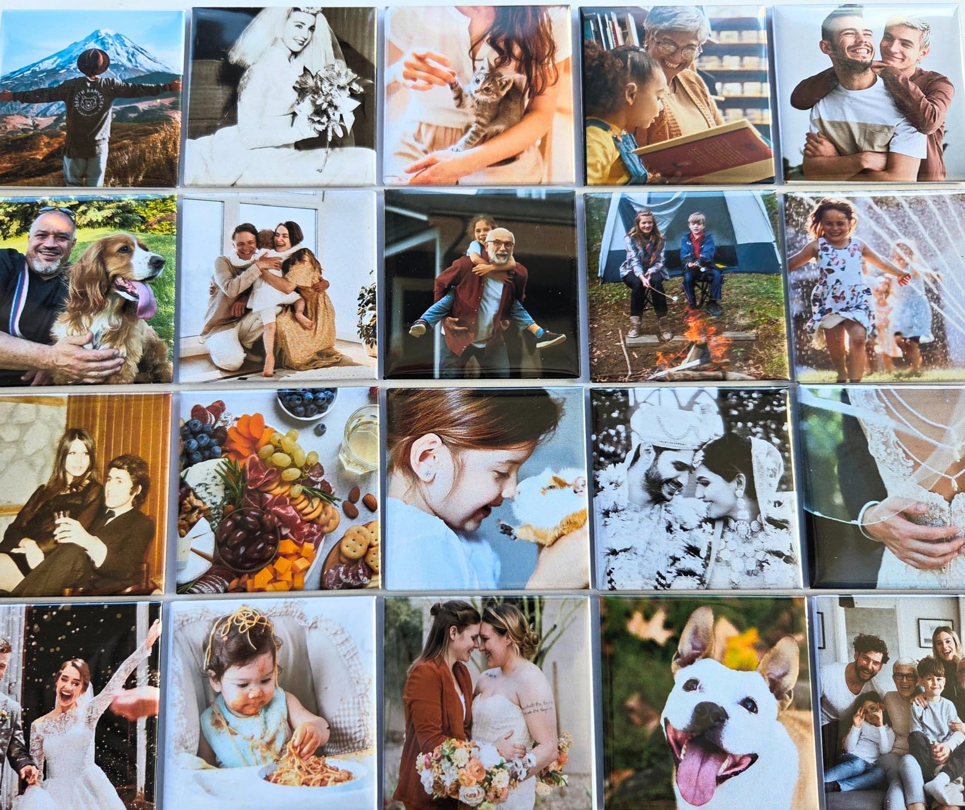 Memoria Magnet Company — Online Stores in Plimmerton