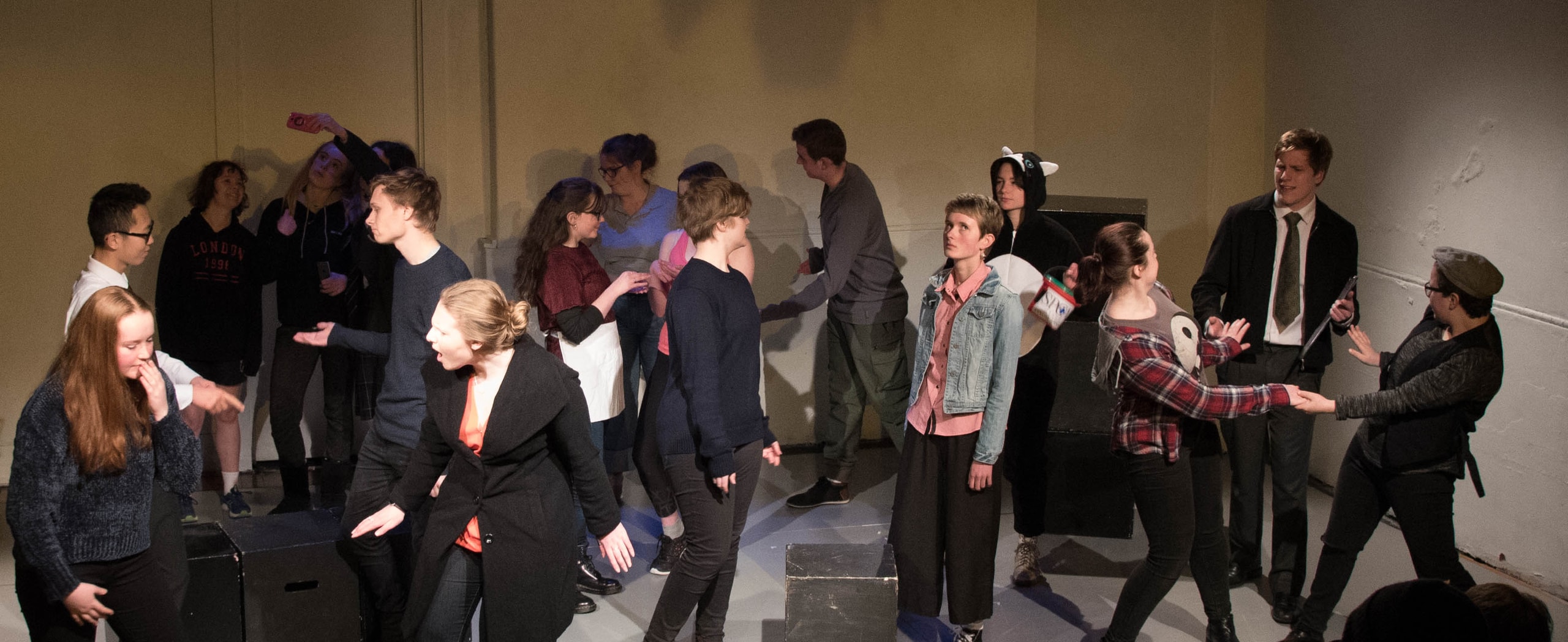 interACT Drama Classes — Professional Services in Dunedin