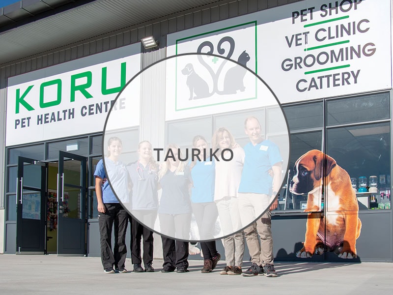 Koru Vets — Vets in Tauriko