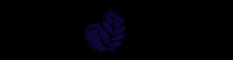 Logo Design New Zealand