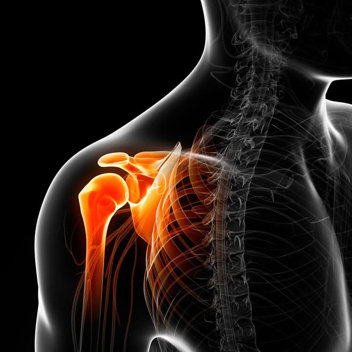 Auckland Shoulder Clinic
