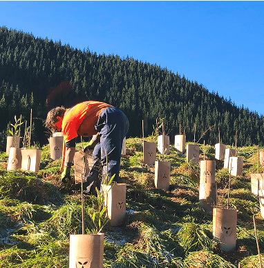Nelmac Takaka — Gardening Services in Tākaka