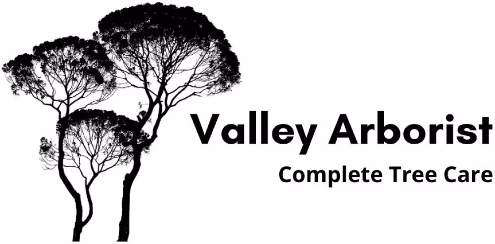 Valley Arborists