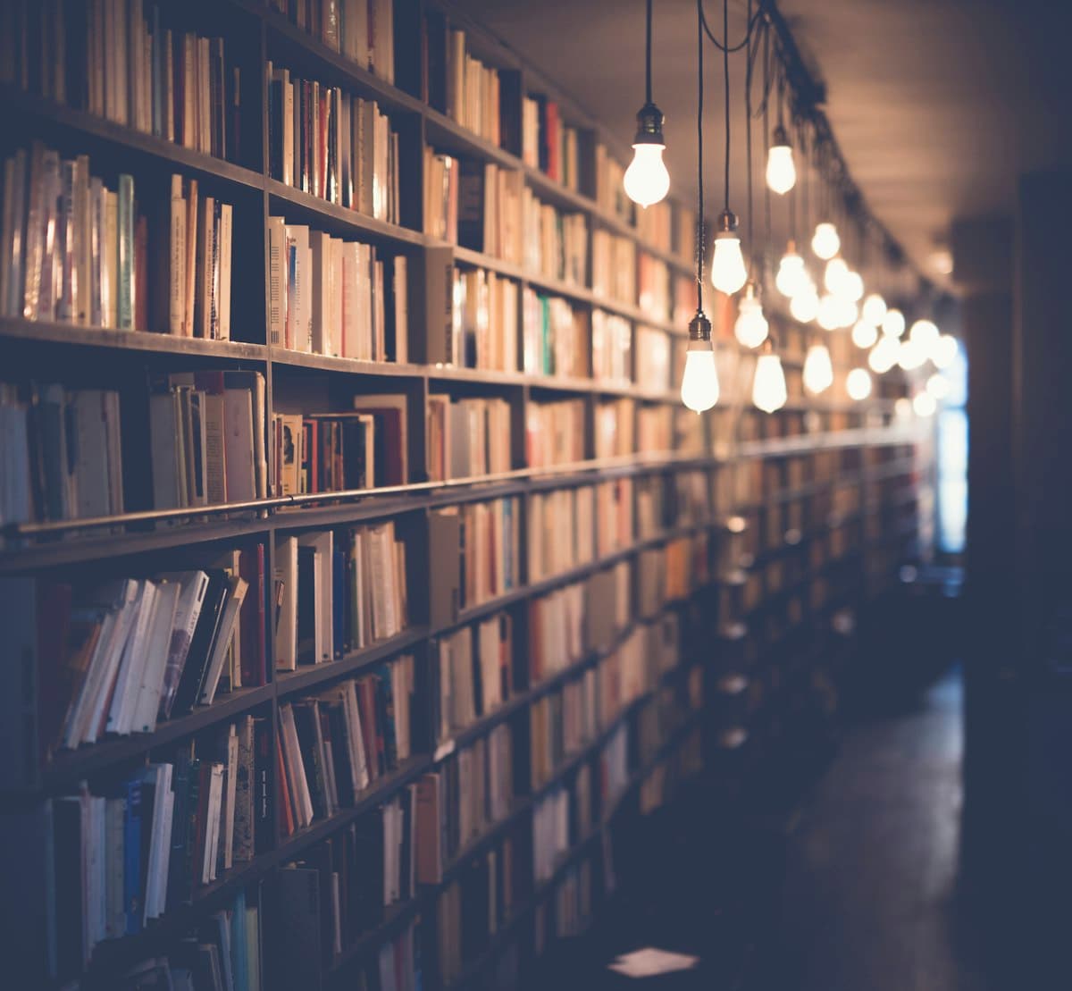 Bookstop Gallery — Bookstores in New Plymouth