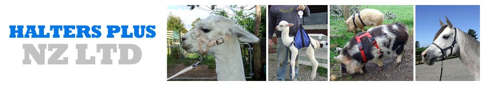Halters Plus NZ Ltd — Pet Stores in RD 24