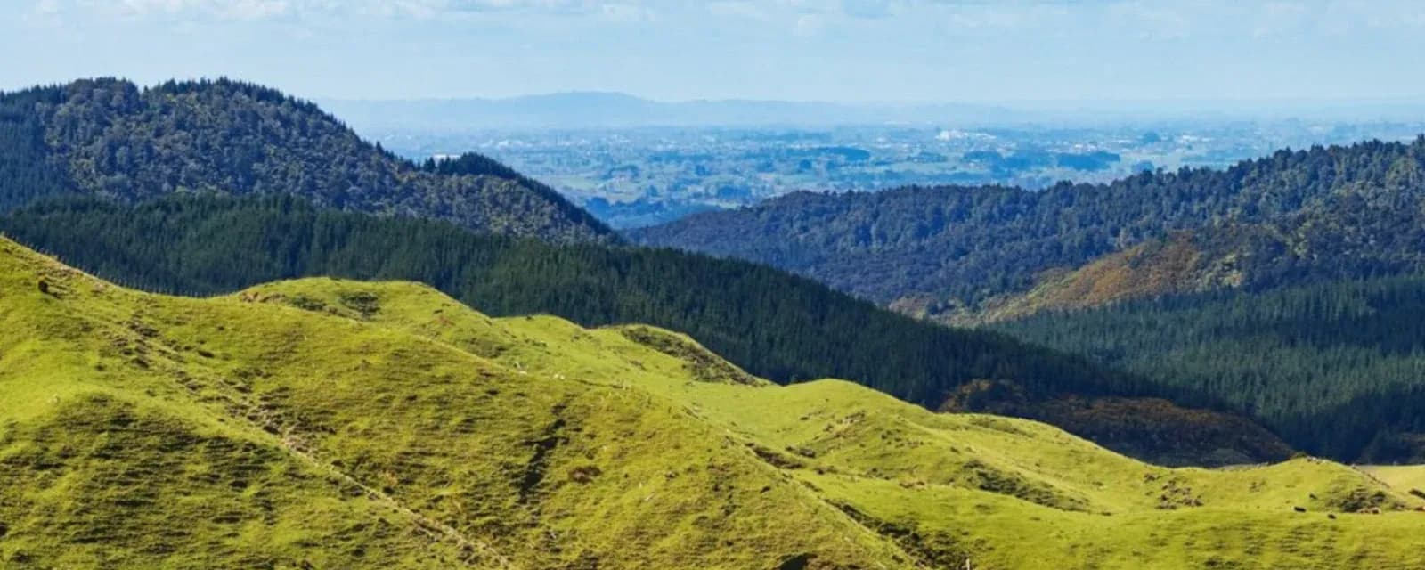 MTF Finance Te Awamutu — Financial Services in Te Awamutu