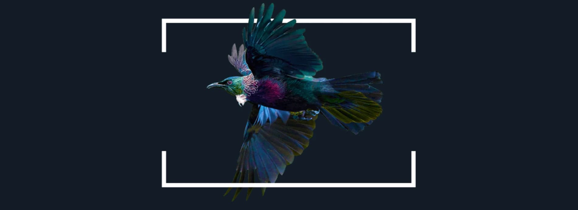 Blend Design