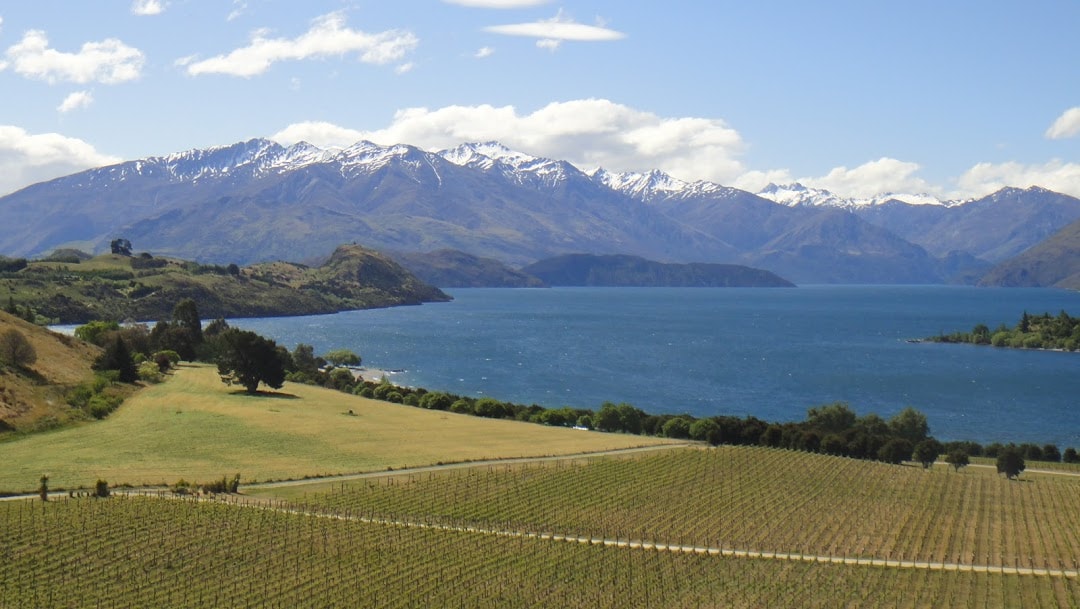 Wanaka Web Design — Website Designers in Wānaka