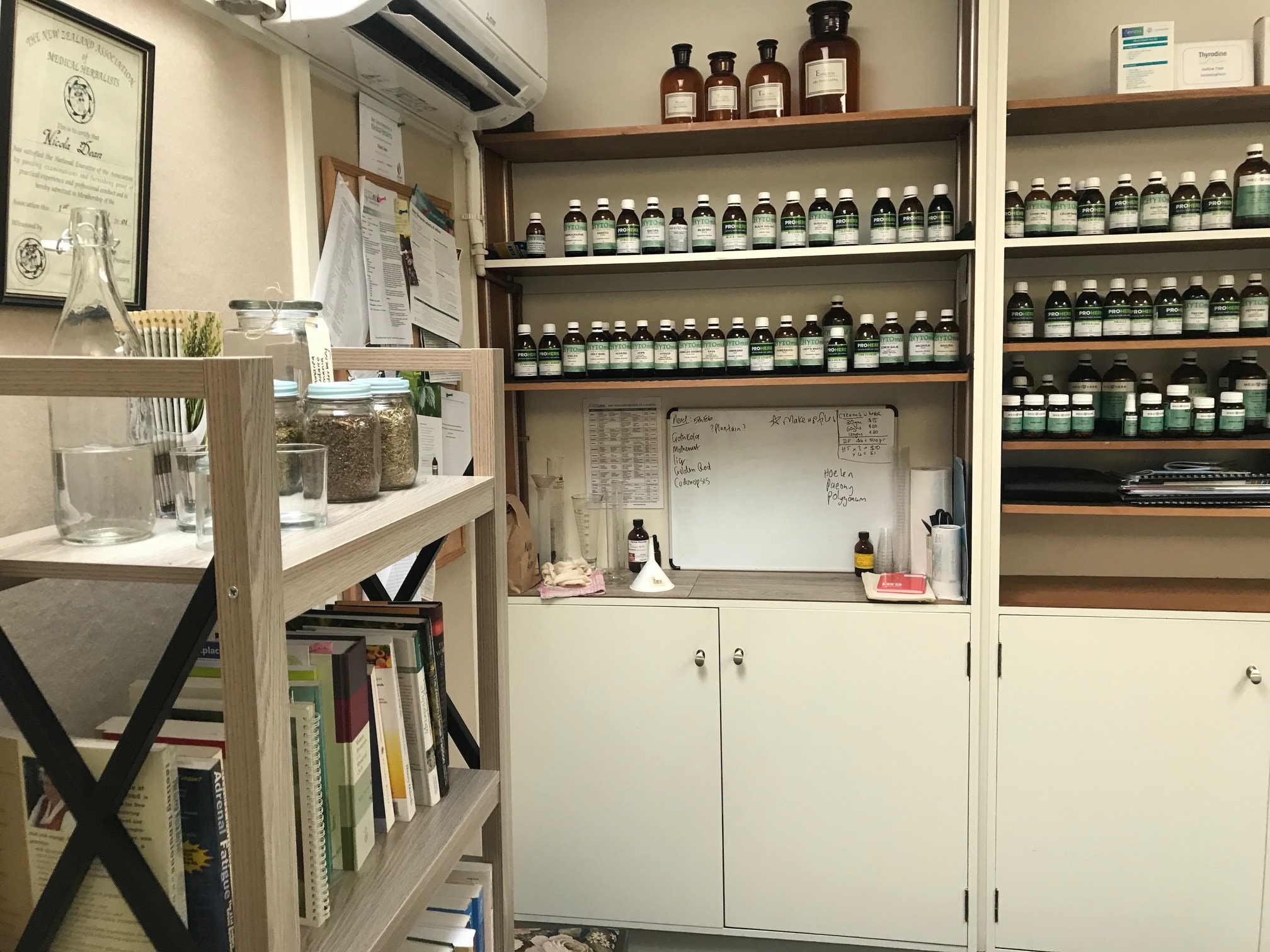 Naturopath Kath — Health & Wellness in Dunedin