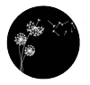 Robert J. Cotton Funeral Directors