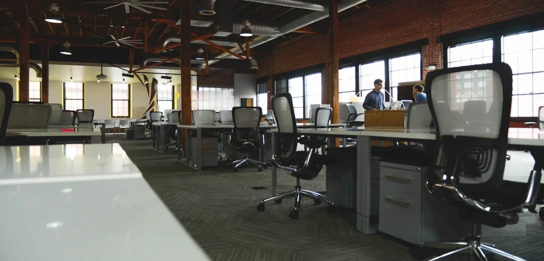 Ripple Effect Digital Marketing — Digital Marketing Agencies in Mount Maunganui