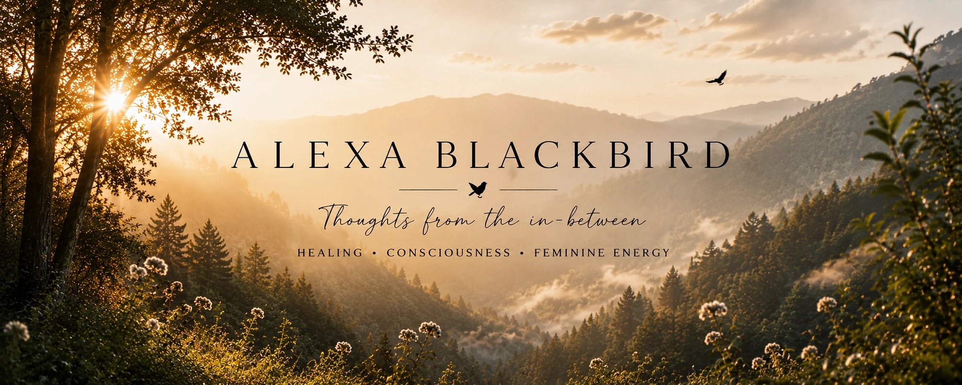 Alexa Blackbird - Conscious Life Coaching — Health & Wellness in Nelson