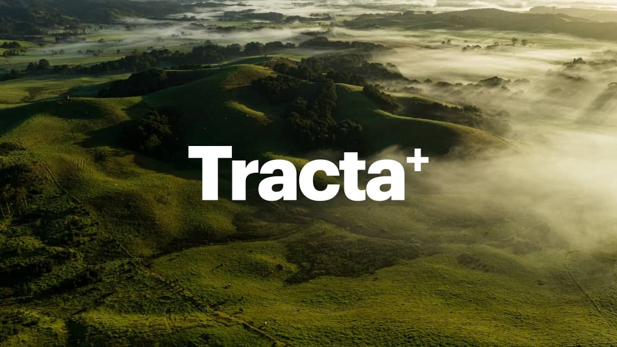 TRACTA — Business Consultants in Napier