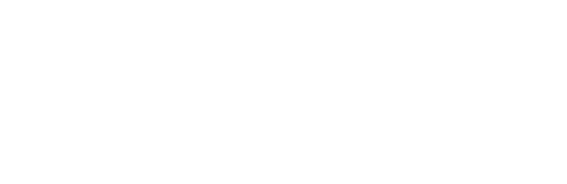 Starfish — Café in Dunedin