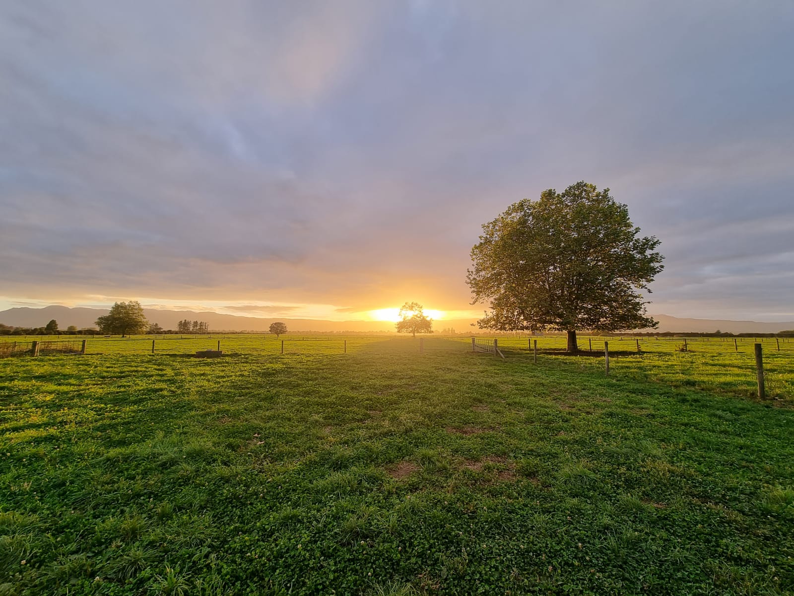Clements Agri Services — Engineering Services in Waharoa