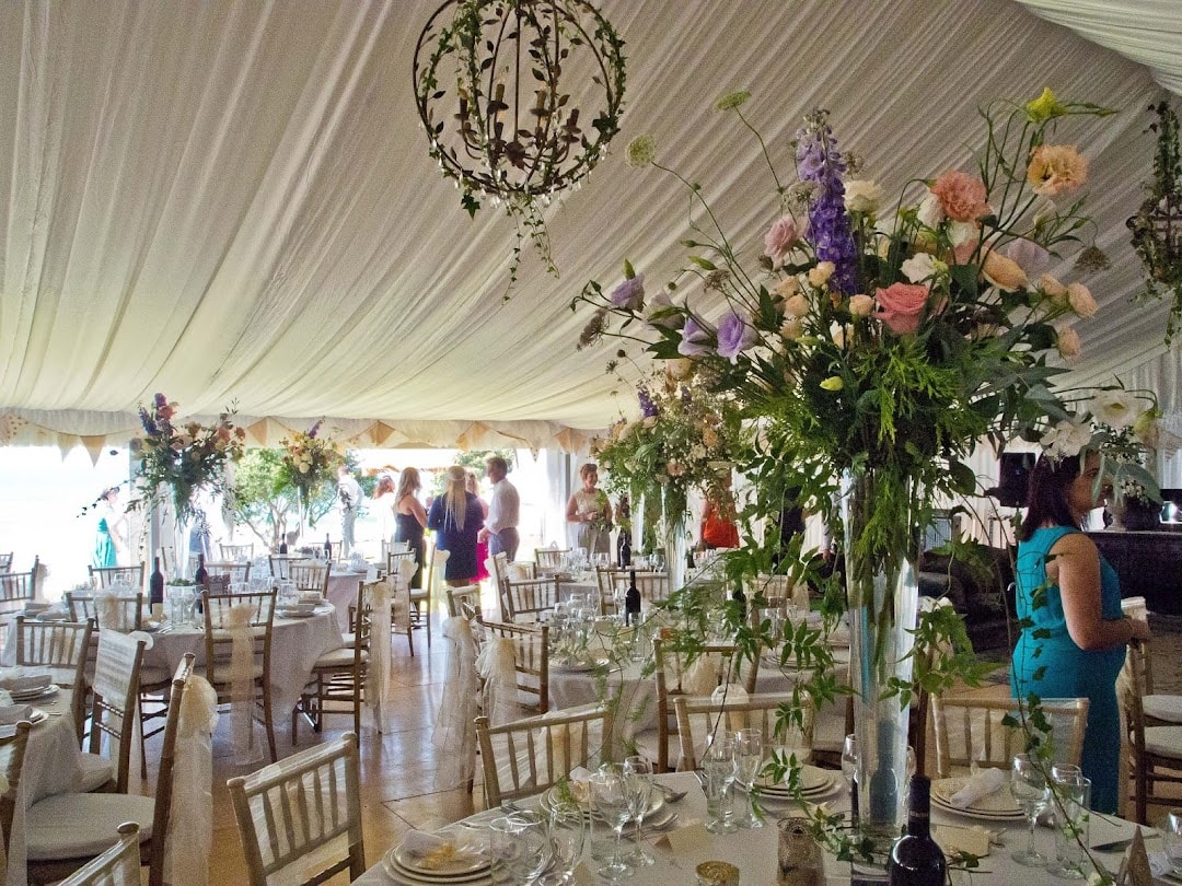 Tauranga Party Hire — Rental Services in Tauranga