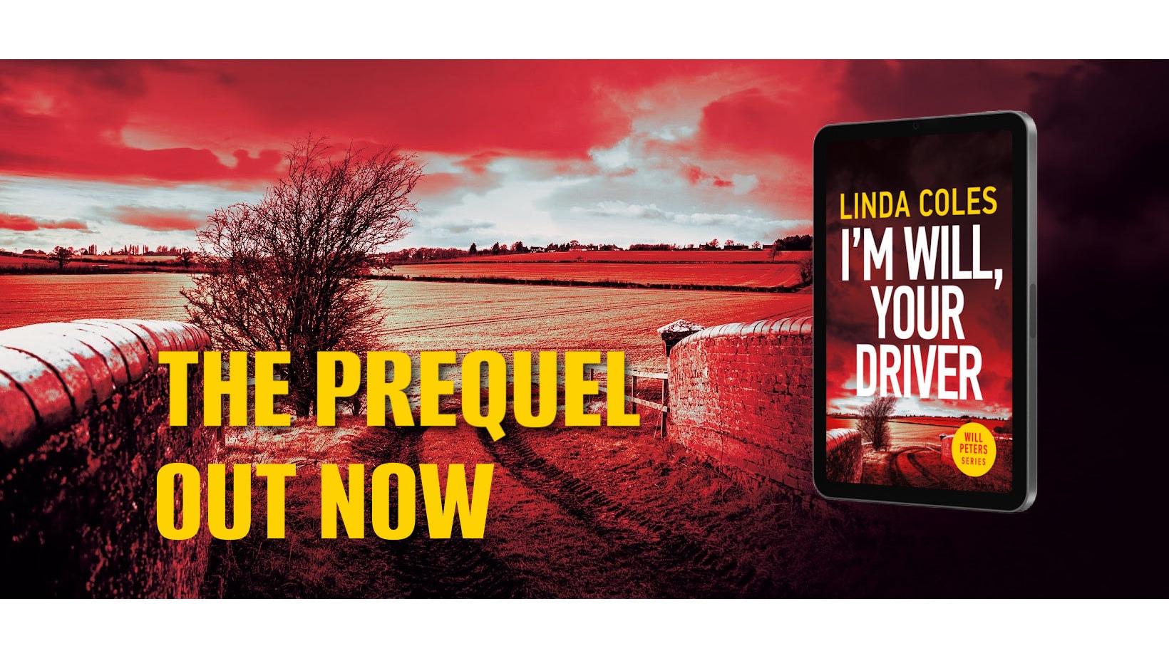 Thriller Writer — Bookstores in New Zealand