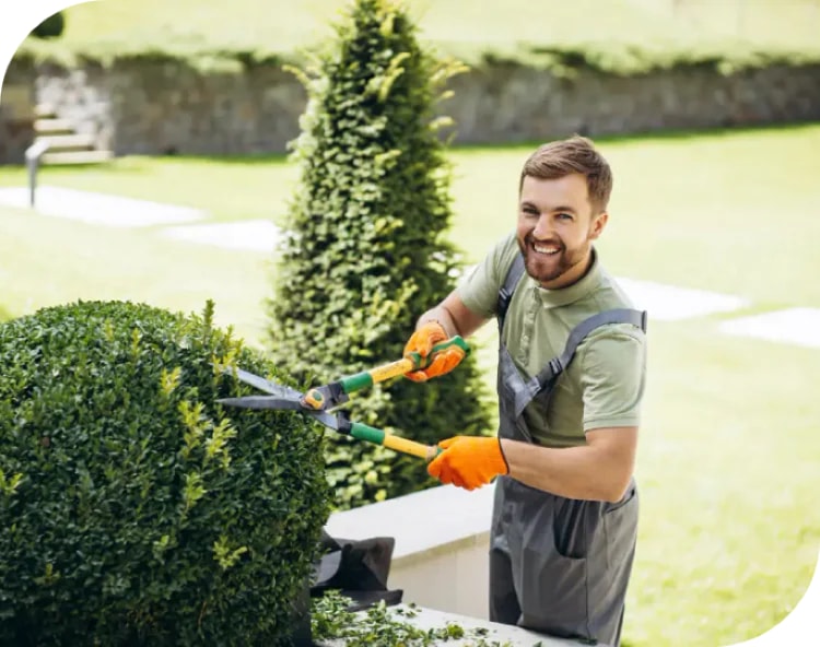 All Season Property Care — Commercial Cleaning Services in Auckland