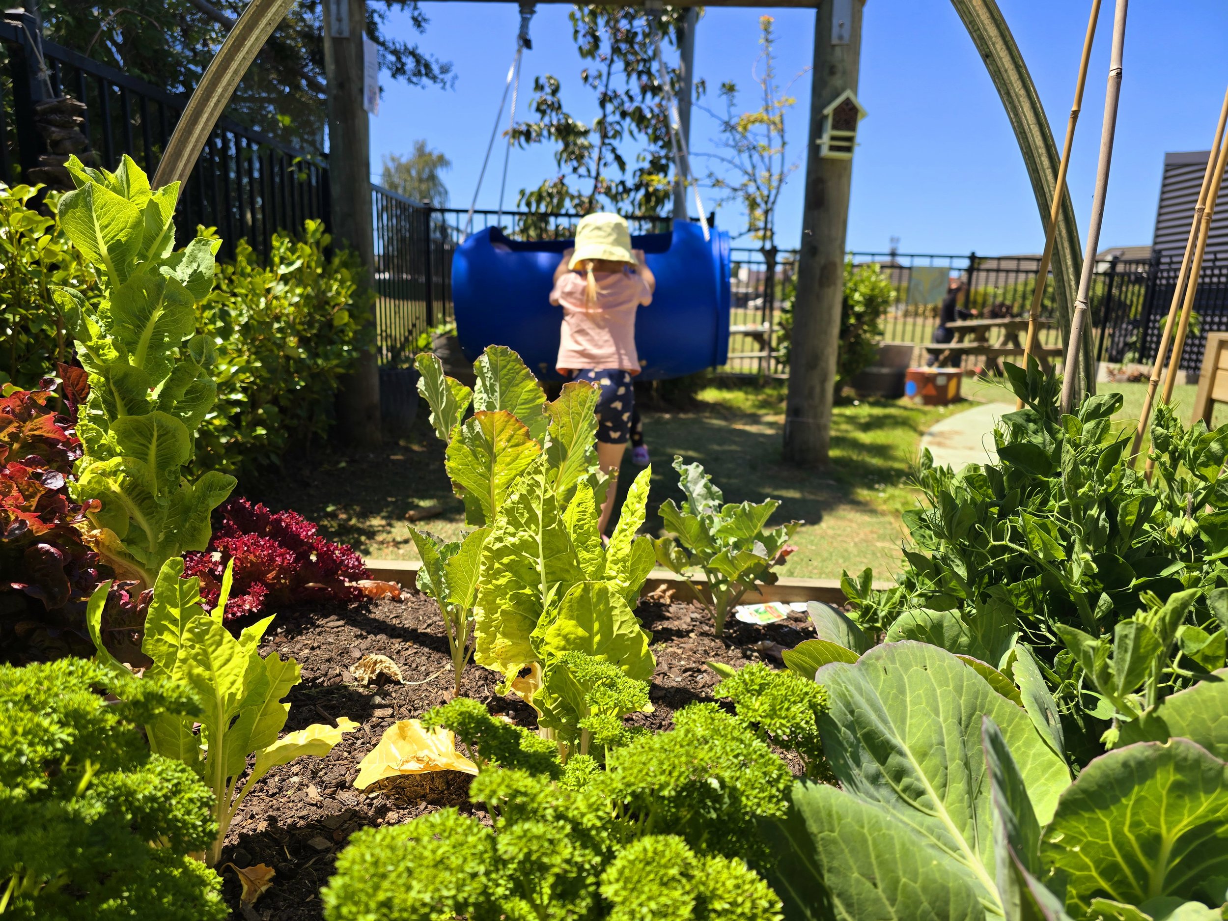 Motueka Kindergarten — Childcare Centres in Motueka