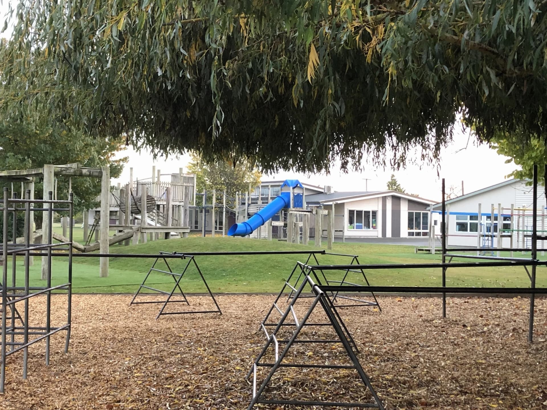Leeston Consolidated School — Schools in Leeston