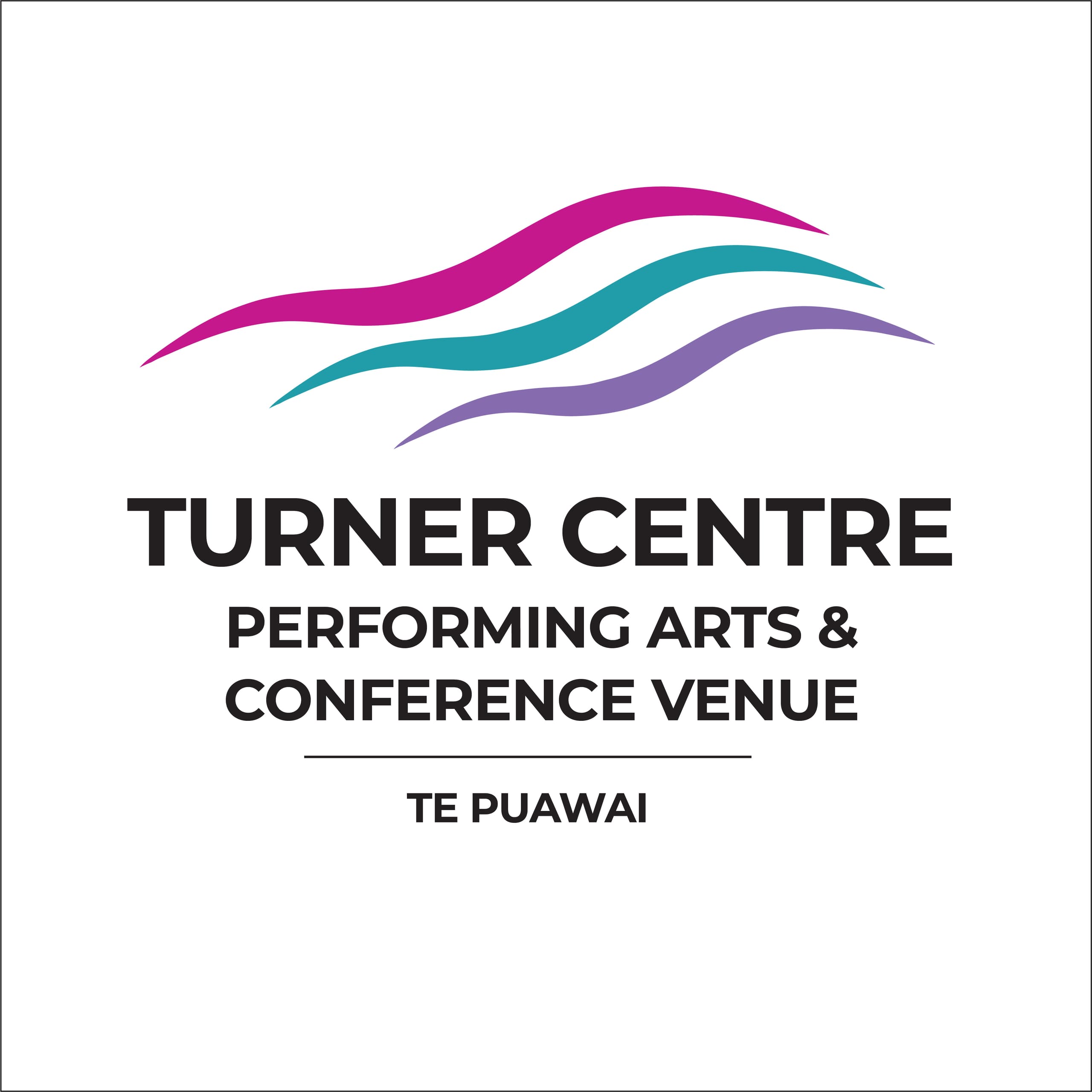 Turner Centre