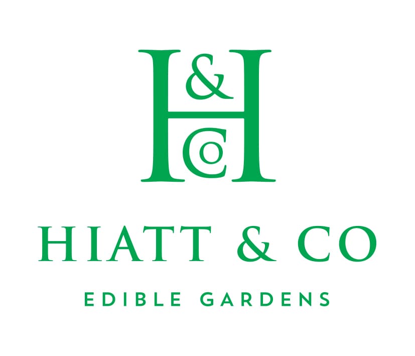 Hiatt & Co