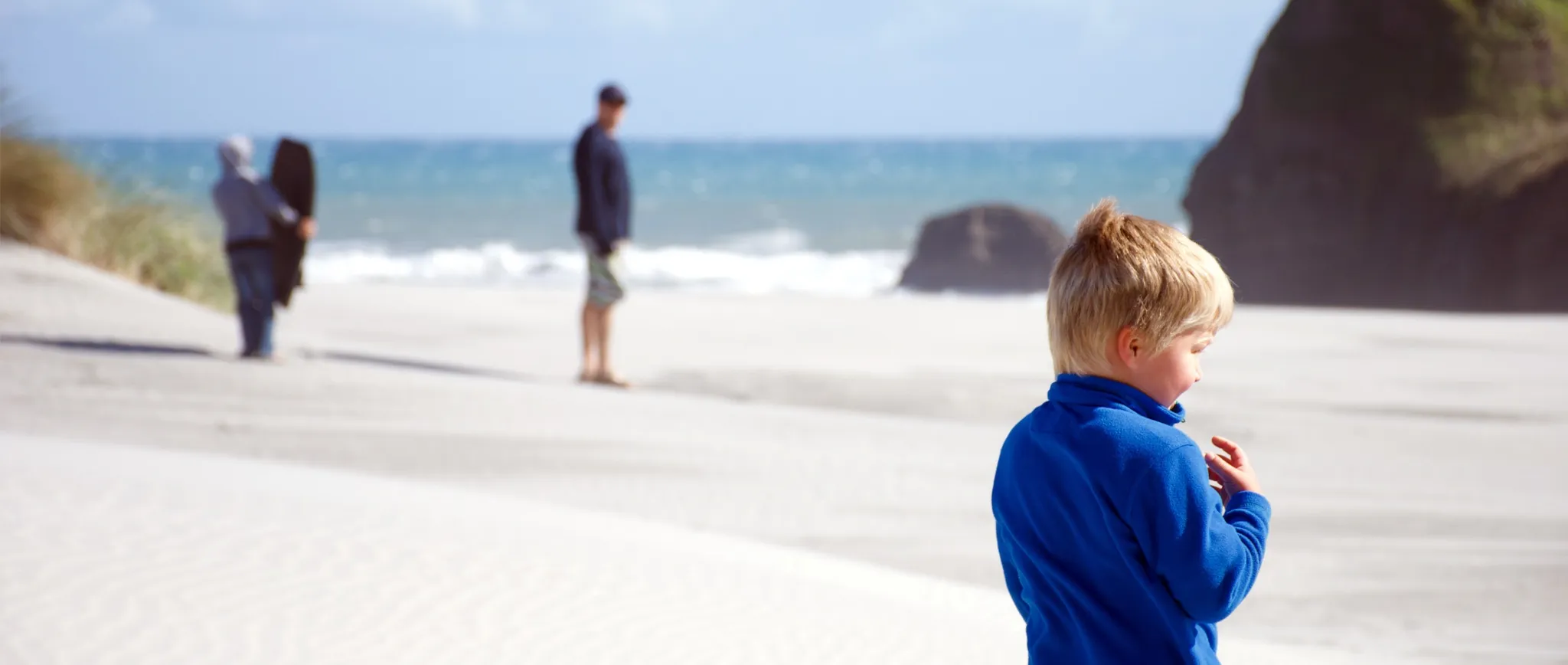 Aims Global — Immigration Consultants in Auckland