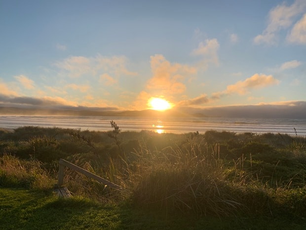 TL Survey Services Ltd — Professional Services in Dunedin