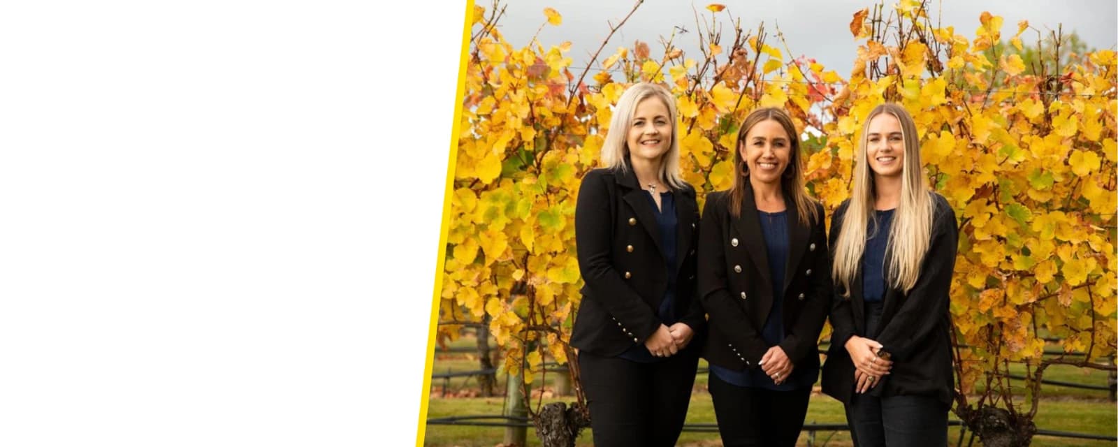 MTF Finance Blenheim