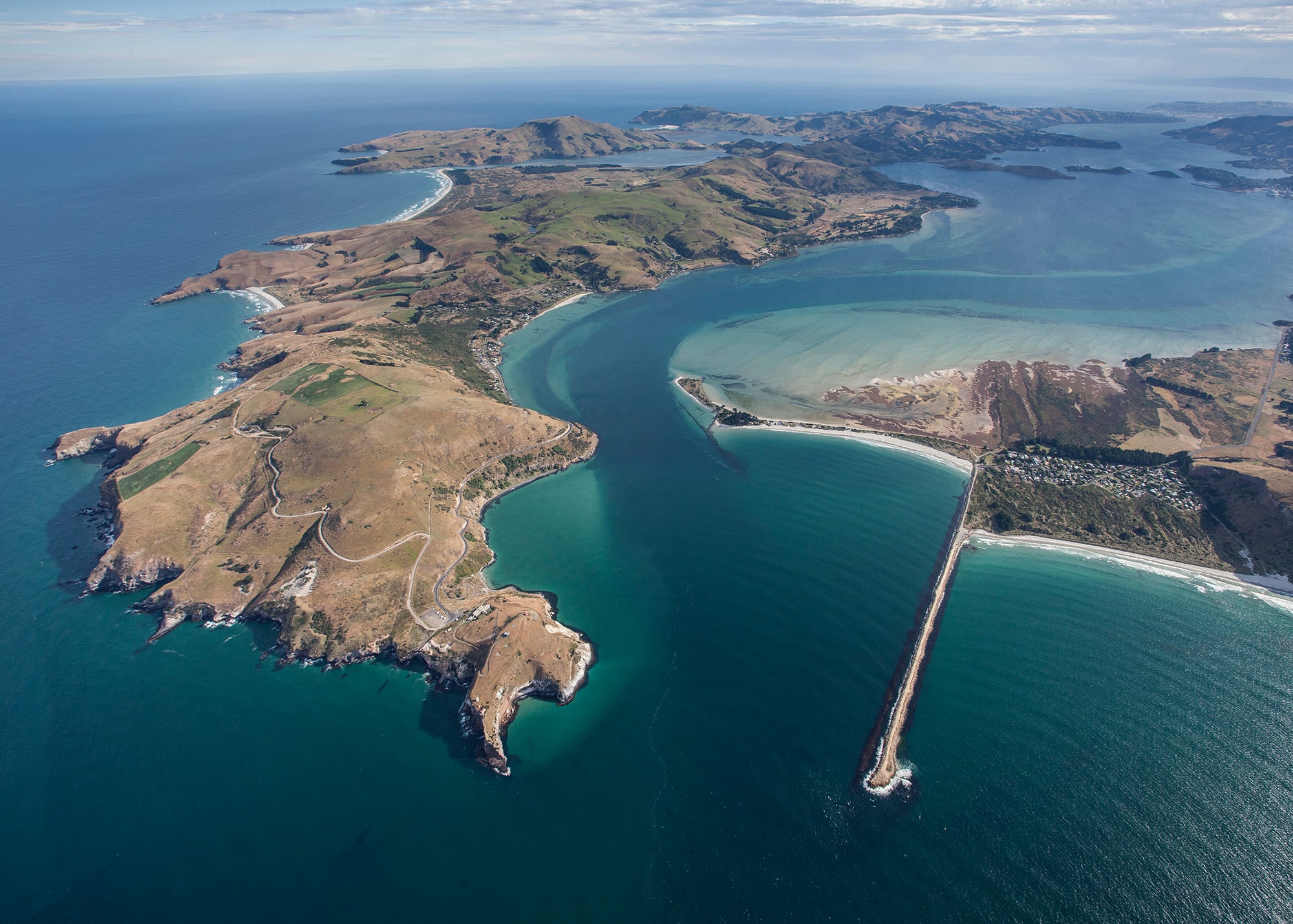 Feldspar Associates Ltd — Professional Services in Dunedin