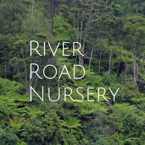 River Road Group Ltd T/A River Road Nursery