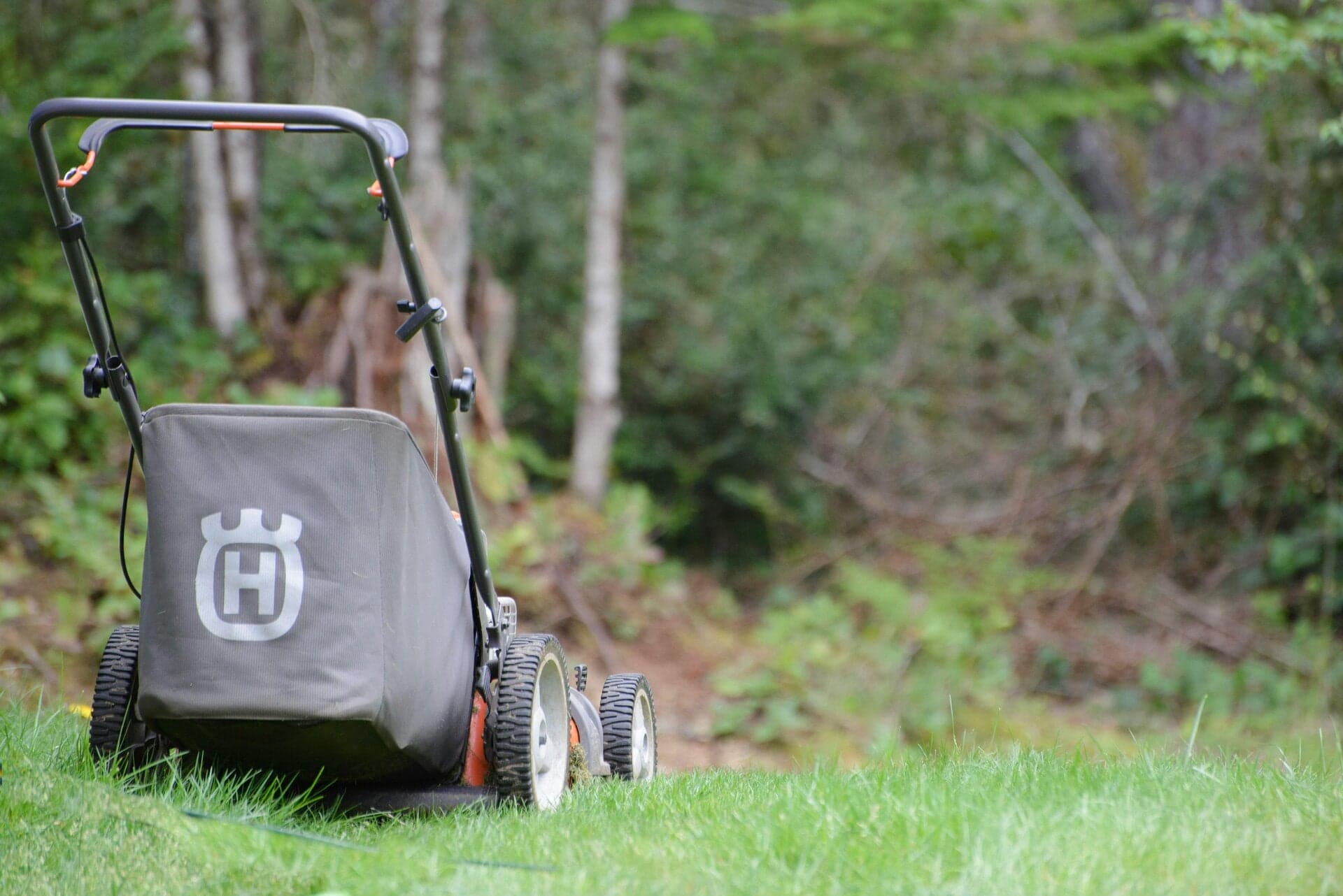 The DIY Guy Gisborne — Property Maintenance Services in Gisborne