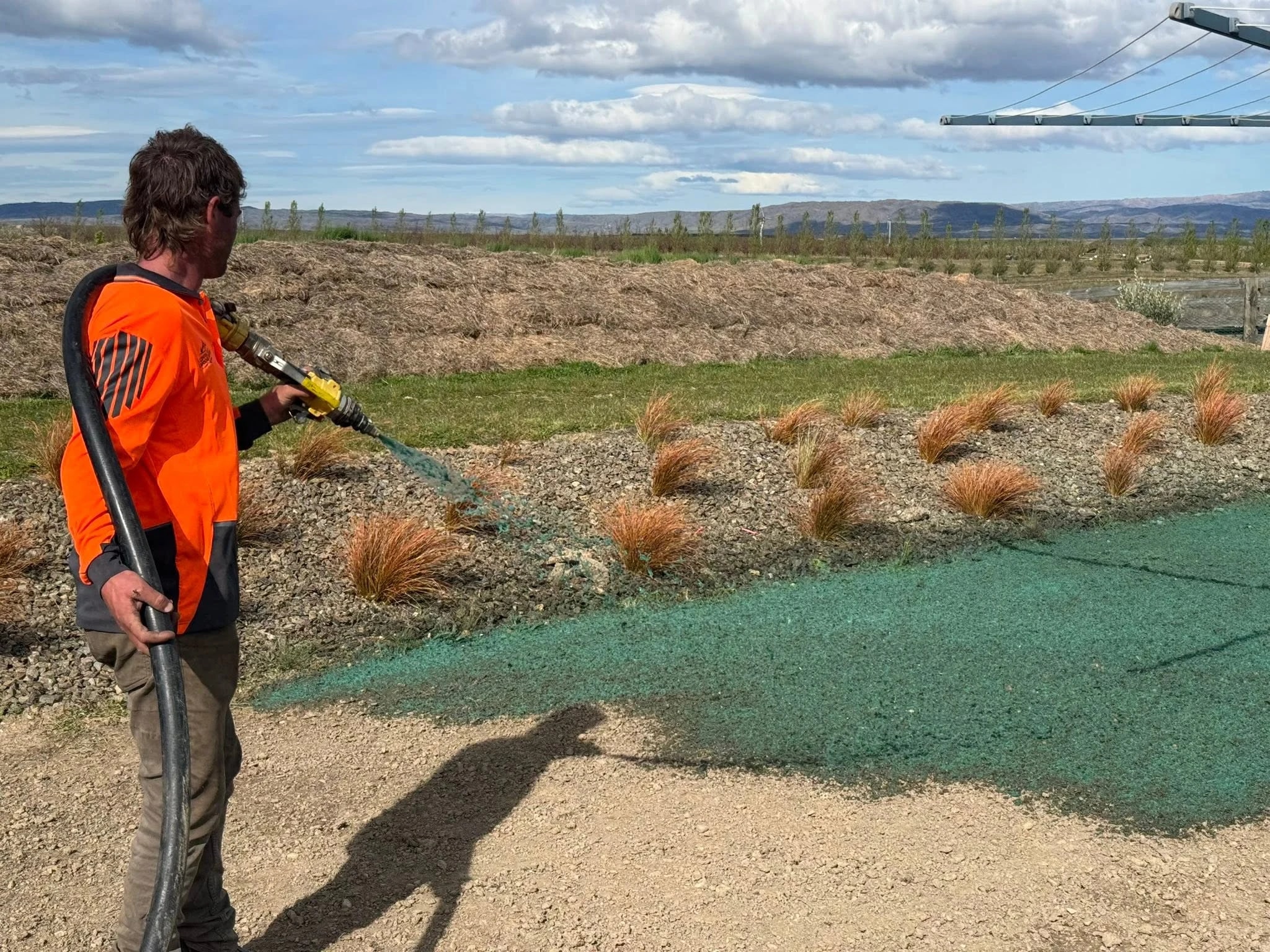 Central Tree Control & Landcare Services — Arborists in Central Otago