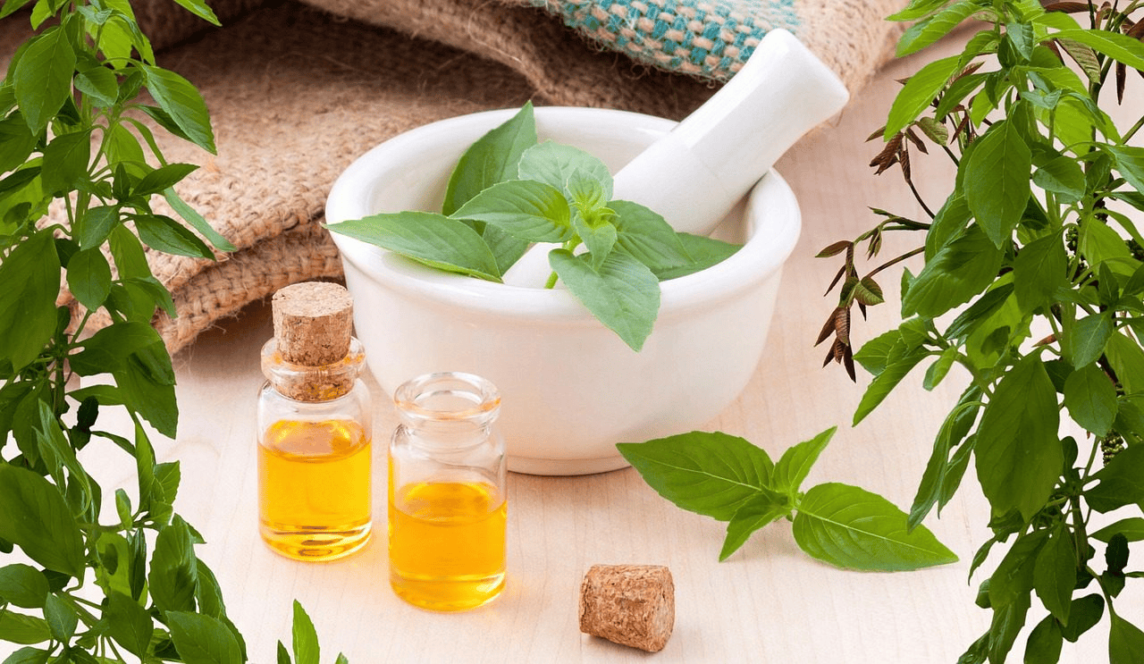 Autumn Falk Naturopath — Health & Wellness in Ōkaihau