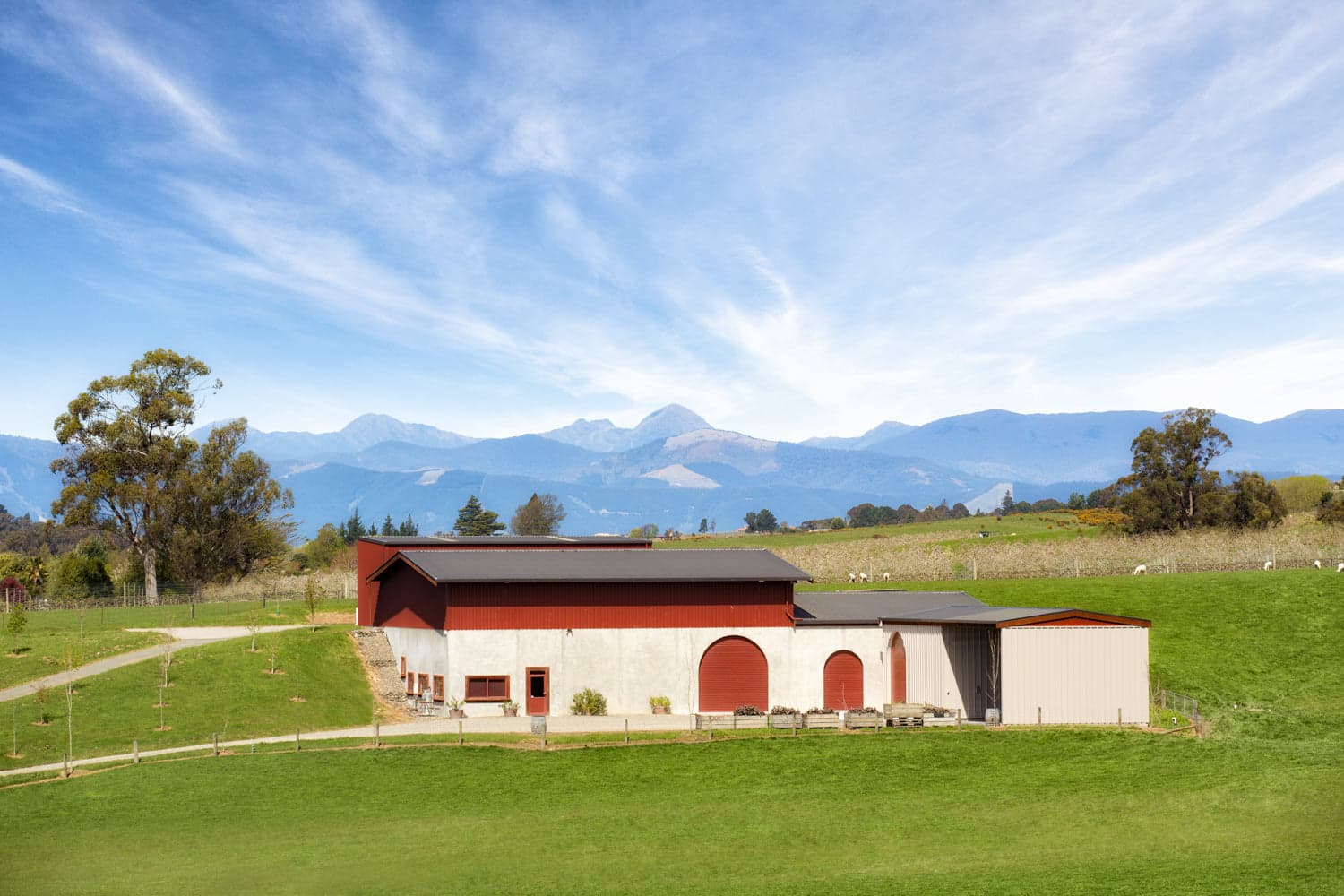 Blackenbrook Vineyard — Food & Beverage in Tasman