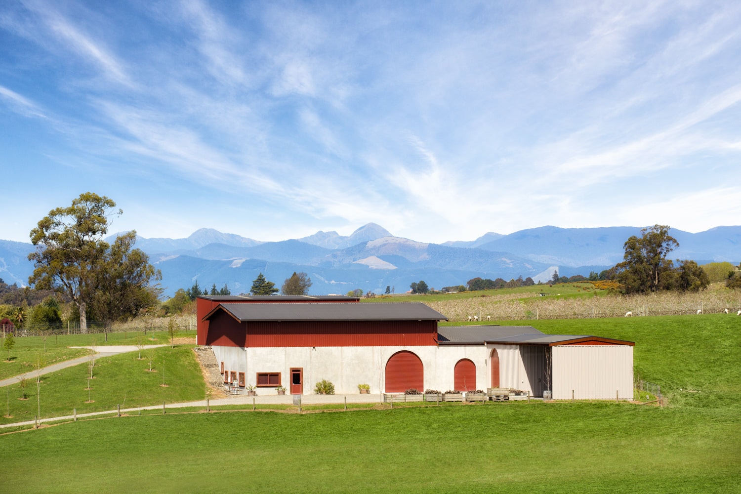 Blackenbrook Vineyard — Food & Beverage in Tasman