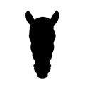 Dark Horse Building Ltd