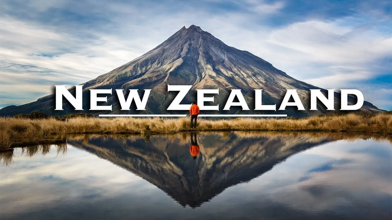 Trusthaven Immigration Services — Immigration Consultants in Whau