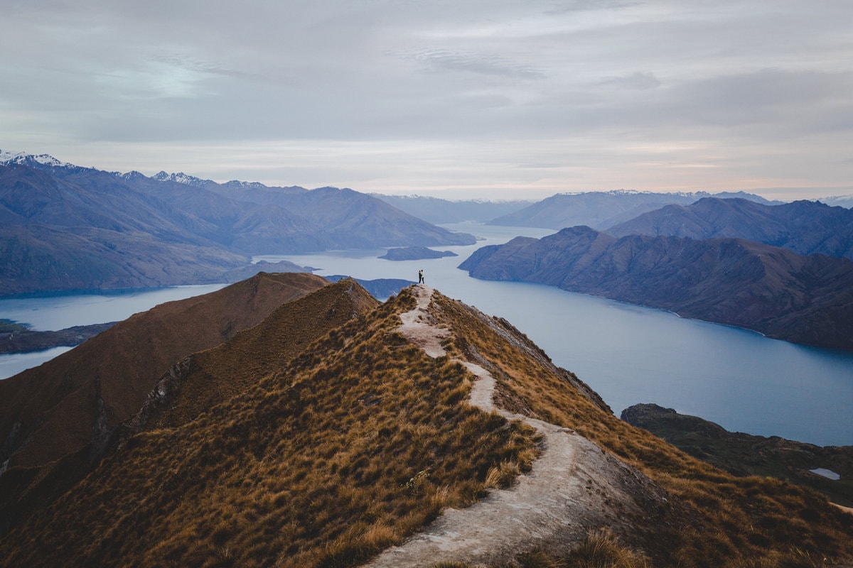 Visa Visa Limited — Immigration Consultants in Kaiapoi