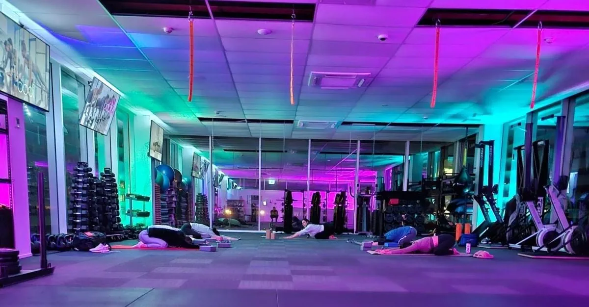 Bodi HQ — Gyms in Ellerslie