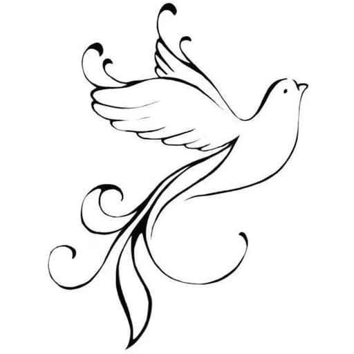 Float Away Massage & Holistic Therapy