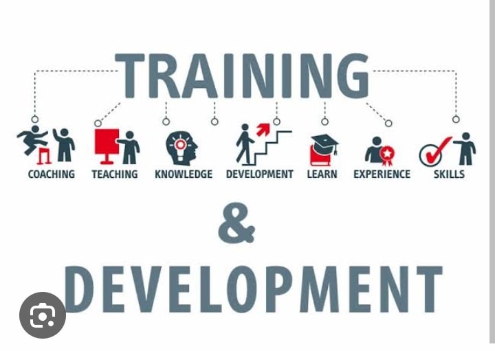 Matri Training and Consulting — Business Consultants in Auckland